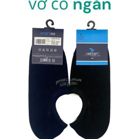 VỚ NAM VIỆT TIẾN