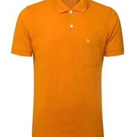 Aó Thun Việt Tiến